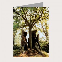 Faltkarte «Der Baum»