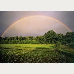 Bildbeschreibung - Regenbogen