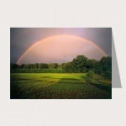 Faltkarte «Regenbogen»